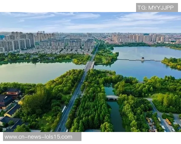 伐木者与盐城湖的对抗：生态保护与资源开发的博弈与思考