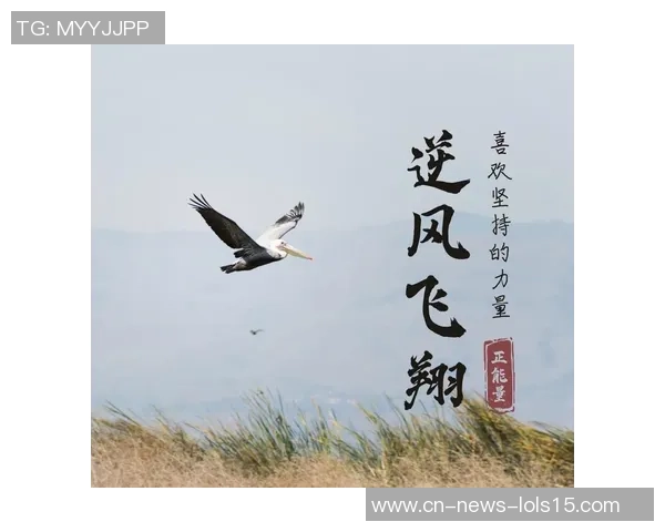 付豪的奋斗历程与成长故事揭示了青春的坚持与梦想的力量